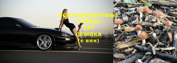 стафф Балахна