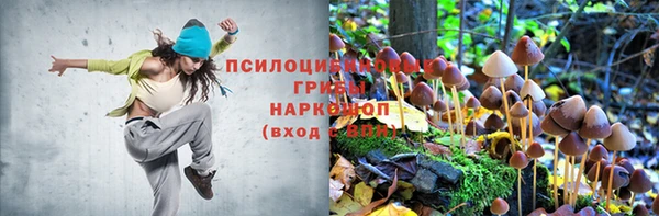 тгк Сосновоборск