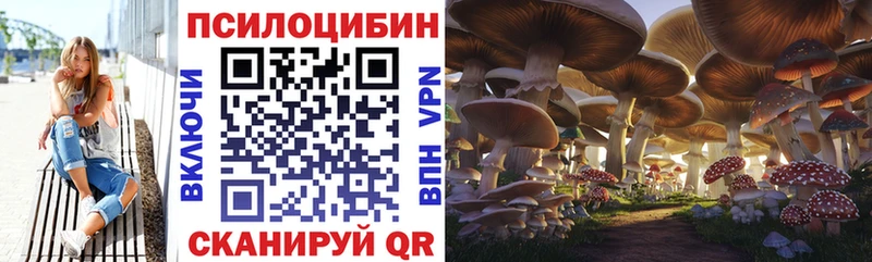 магазин    Заозёрск  Псилоцибиновые грибы Magic Shrooms 